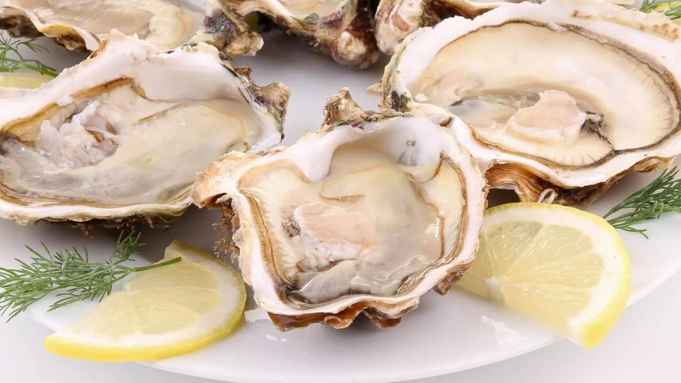 Дегустация устриц и морепродуктов во Франции